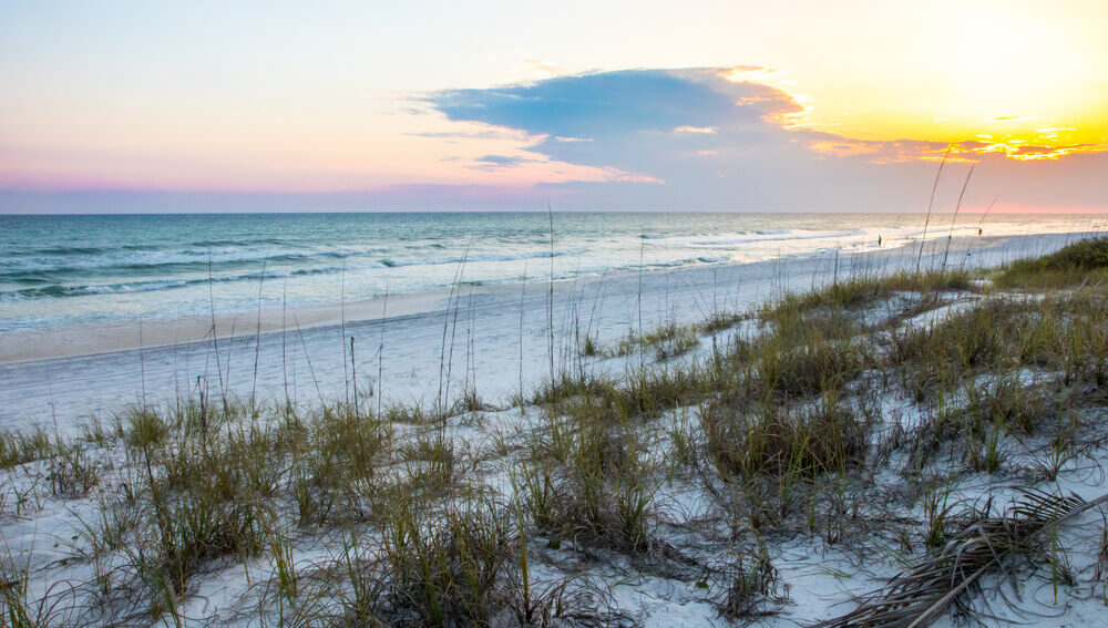 Five Reasons to Explore Inlet Beach, Florida