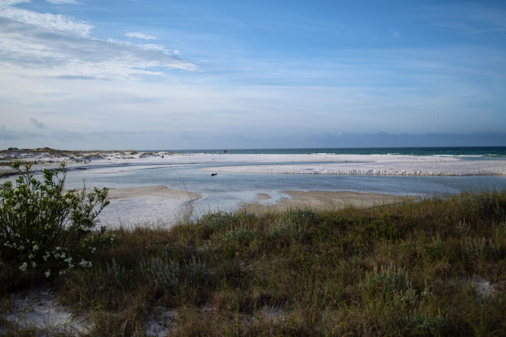 Explore Florida’s Rare Geographic Feature: Coastal Dune Lakes